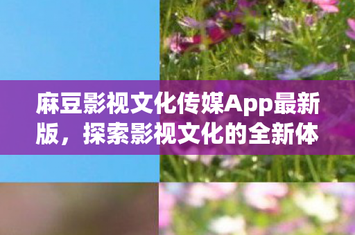 麻豆影视文化传媒App最新版,探索影视文化的全新体验 麻豆影视文化传媒App最新版,探索影视文化的全新体验