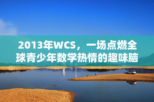 2013年WCS，一场点燃全球青少年数学热情的趣味脑力盛宴