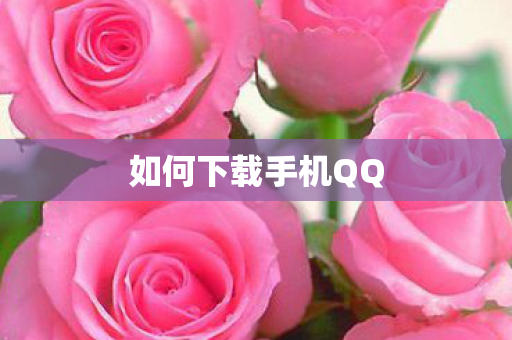 如何下载手机QQ 如何下载手机QQ