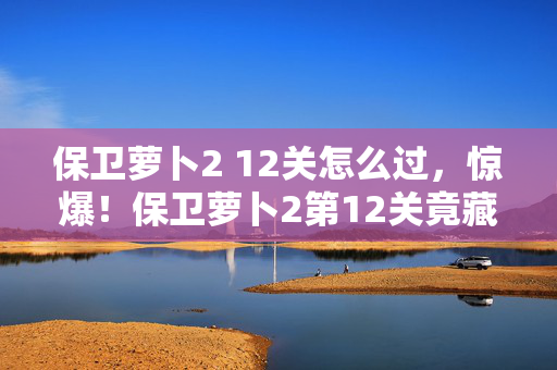 保卫萝卜2 12关怎么过,惊爆!保卫萝卜2第12关竟藏50万开发隐情,结果让人吓一跳! 保卫萝卜2 12关怎么过,惊爆!保卫萝卜2第12关竟藏50万开发隐情,结果让人吓一跳!
