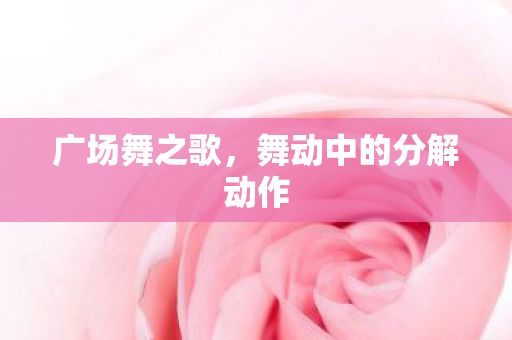 广场舞之歌,舞动中的分解动作 广场舞之歌,舞动中的分解动作