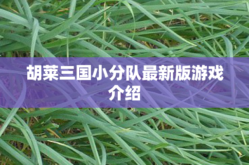 胡莱三国小分队最新版游戏介绍 胡莱三国小分队最新版游戏介绍