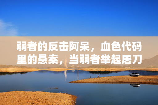 弱者的反击阿呆,血色代码里的悬案,当弱者举起屠刀,毛骨悚然的是我杀了自己 弱者的反击阿呆,血色代码里的悬案,当弱者举起屠刀,毛骨悚然的是我杀了自己