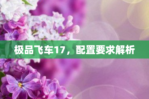 极品飞车17,配置要求解析 极品飞车17,配置要求解析