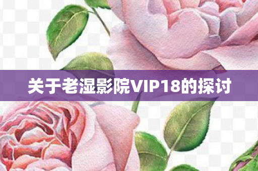 关于老湿影院VIP18的探讨