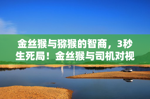 金丝猴与猕猴的智商,3秒生死局!金丝猴与司机对视博弈,这场自然与机械的终极礼让,藏着未来游戏AI的致命真相 金丝猴与猕猴的智商,3秒生死局!金丝猴与司机对视博弈,这场自然与机械的终极礼让,藏着未来游戏AI的致命真相