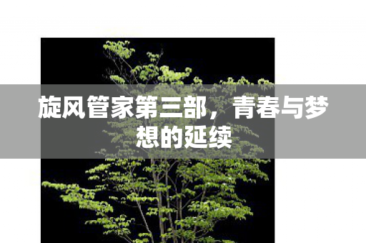 旋风管家第三部,青春与梦想的延续 旋风管家第三部,青春与梦想的延续