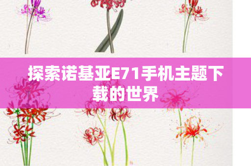 探索诺基亚E71手机主题下载的世界 探索诺基亚E71手机主题下载的世界