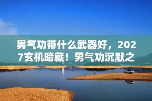 男气功带什么武器好，2027玄机暗藏！男气功沉默之选，这武器藏着什么命运密码？
