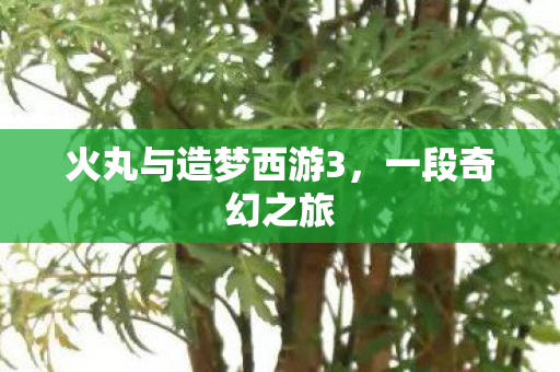 火丸与造梦西游3,一段奇幻之旅 火丸与造梦西游3,一段奇幻之旅