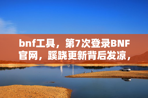 bnf工具，第7次登录BNF官网，蹊跷更新背后发凉，我竟被游戏玩了十年？