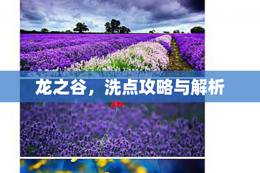 龙之谷,洗点攻略与解析 龙之谷,洗点攻略与解析