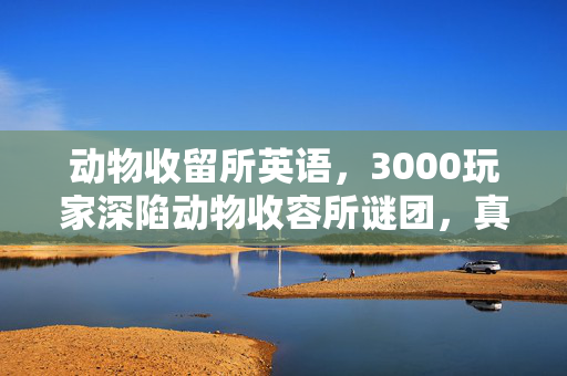 动物收留所英语,3000玩家深陷动物收容所谜团,真相揭晓瞬间集体破防! 动物收留所英语,3000玩家深陷动物收容所谜团,真相揭晓瞬间集体破防!