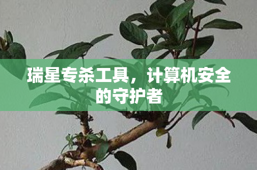 瑞星专杀工具,计算机安全的守护者 瑞星专杀工具,计算机安全的守护者