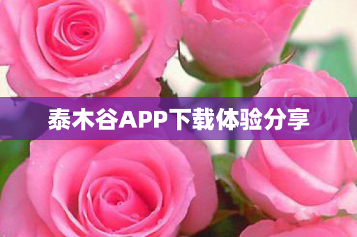 泰木谷APP下载体验分享 泰木谷APP下载体验分享