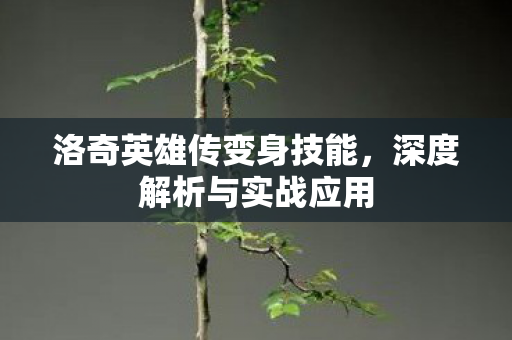 洛奇英雄传变身技能,深度解析与实战应用 洛奇英雄传变身技能,深度解析与实战应用