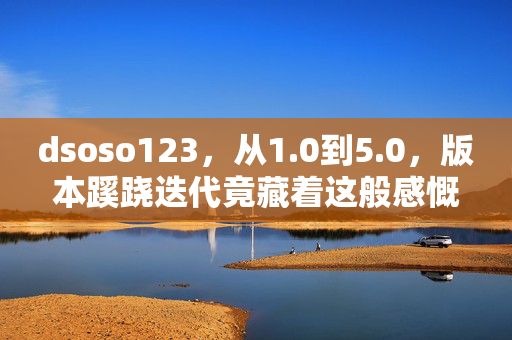 dsoso123,从1.0到5.0,版本蹊跷迭代竟藏着这般感慨! dsoso123,从1.0到5.0,版本蹊跷迭代竟藏着这般感慨!