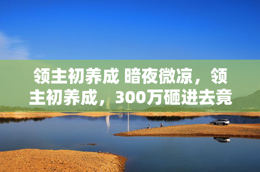 领主初养成 暗夜微凉，领主初养成，300万砸进去竟藏着惊天隐情，结果让人吓一跳！