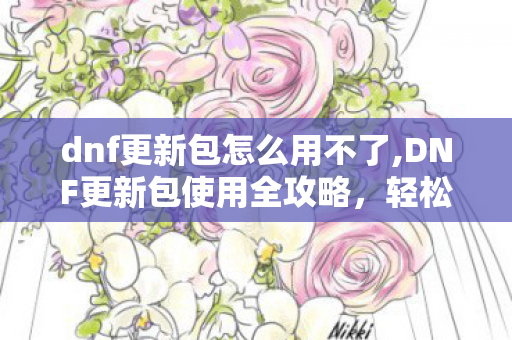 dnf更新包怎么用不了,DNF更新包使用全攻略，轻松搞定游戏版本更新
