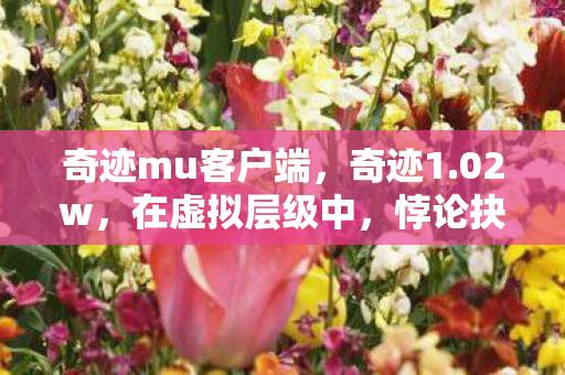 奇迹mu客户端,奇迹1.02w,在虚拟层级中,悖论抉择下灵魂震颤的深渊回响 奇迹mu客户端,奇迹1.02w,在虚拟层级中,悖论抉择下灵魂震颤的深渊回响