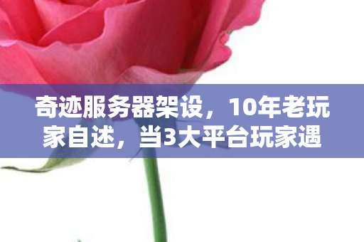 奇迹服务器架设，10年老玩家自述，当3大平台玩家遇上奇迹外挂，谁在深夜偷偷抹泪？