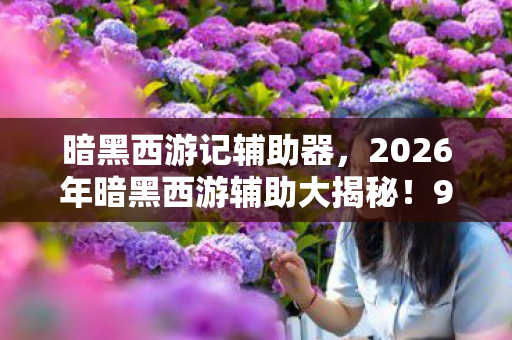 暗黑西游记辅助器，2026年暗黑西游辅助大揭秘！99%玩家不知的隐藏神技？