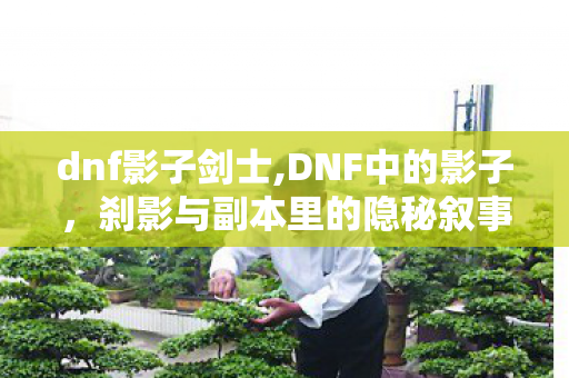 dnf影子剑士,DNF中的影子,刹影与副本里的隐秘叙事 dnf影子剑士,DNF中的影子,刹影与副本里的隐秘叙事