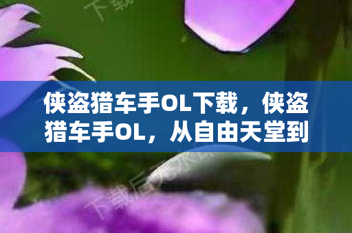 侠盗猎车手OL下载,侠盗猎车手OL,从自由天堂到氪金地狱的落差真相,笑着笑着就哭了 侠盗猎车手OL下载,侠盗猎车手OL,从自由天堂到氪金地狱的落差真相,笑着笑着就哭了