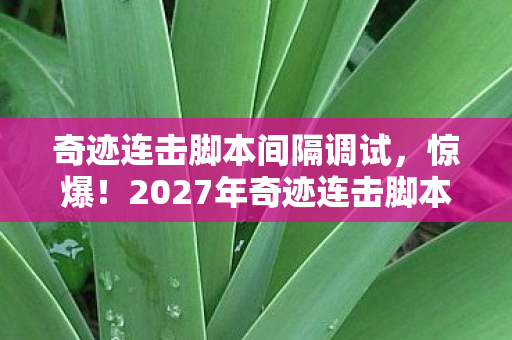 奇迹连击脚本间隔调试,惊爆!2027年奇迹连击脚本大揭秘,99%玩家不知的逆天操作? 奇迹连击脚本间隔调试,惊爆!2027年奇迹连击脚本大揭秘,99%玩家不知的逆天操作?