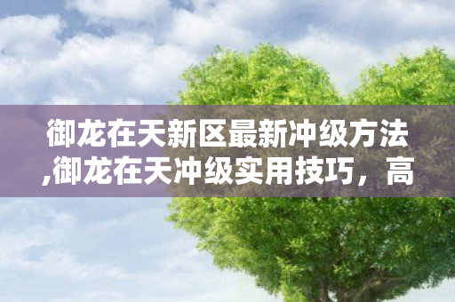 御龙在天新区最新冲级方法,御龙在天冲级实用技巧,高效升级的核心方法 御龙在天新区最新冲级方法,御龙在天冲级实用技巧,高效升级的核心方法