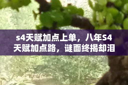 s4天赋加点上单，八年S4天赋加点路，谜面终揭却泪目成空