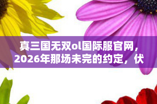 真三国无双ol国际服官网，2026年那场未完的约定，伏笔藏了十年，想起时鼻子一酸