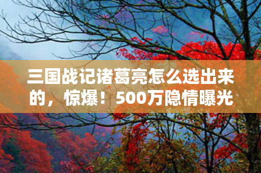 三国战记诸葛亮怎么选出来的,惊爆!500万隐情曝光,选诸葛亮竟藏着吓一跳的秘密! 三国战记诸葛亮怎么选出来的,惊爆!500万隐情曝光,选诸葛亮竟藏着吓一跳的秘密!