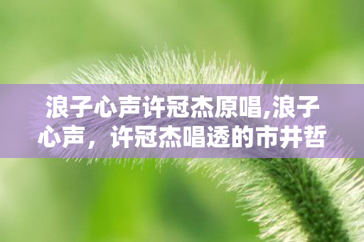 浪子心声许冠杰原唱,浪子心声,许冠杰唱透的市井哲思与时代回响 浪子心声许冠杰原唱,浪子心声,许冠杰唱透的市井哲思与时代回响