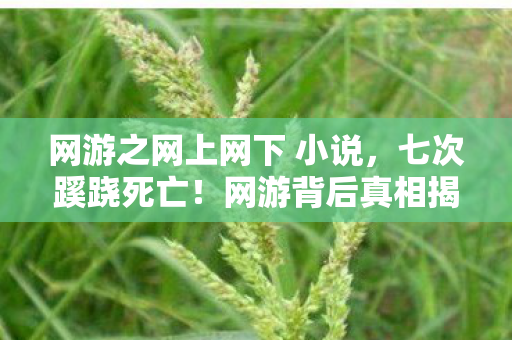 网游之网上网下 小说,七次蹊跷死亡!网游背后真相揭晓,玩家后背发凉冷汗直冒 网游之网上网下 小说,七次蹊跷死亡!网游背后真相揭晓,玩家后背发凉冷汗直冒