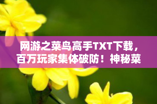 网游之菜鸟高手TXT下载,百万玩家集体破防!神秘菜鸟团竟藏着惊天谜团? 网游之菜鸟高手TXT下载,百万玩家集体破防!神秘菜鸟团竟藏着惊天谜团?