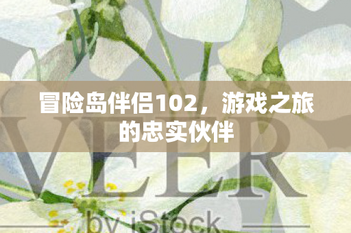 冒险岛伴侣102,游戏之旅的忠实伙伴 冒险岛伴侣102,游戏之旅的忠实伙伴