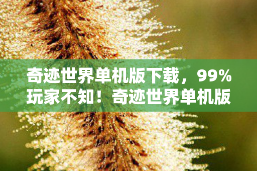 奇迹世界单机版下载,99%玩家不知!奇迹世界单机版竟藏10倍速升级秘法,颠覆认知! 奇迹世界单机版下载,99%玩家不知!奇迹世界单机版竟藏10倍速升级秘法,颠覆认知!