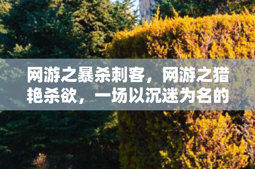 网游之暴杀刺客,网游之猎艳杀欲,一场以沉迷为名的心理实验,细思极恐的自我异化 网游之暴杀刺客,网游之猎艳杀欲,一场以沉迷为名的心理实验,细思极恐的自我异化