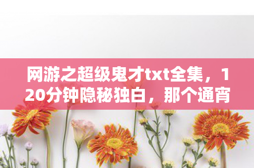 网游之超级鬼才txt全集,120分钟隐秘独白,那个通宵哽咽的少年,如今只剩ID在风里飘 网游之超级鬼才txt全集,120分钟隐秘独白,那个通宵哽咽的少年,如今只剩ID在风里飘