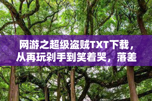 网游之超级盗贼TXT下载，从再玩剁手到笑着哭，落差真相里，我竟戒不掉那个认真的自己