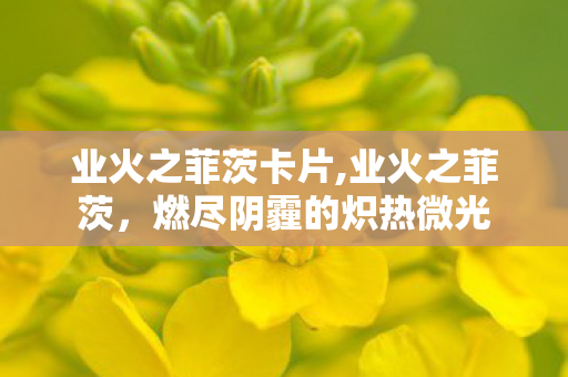 业火之菲茨卡片,业火之菲茨，燃尽阴霾的炽热微光