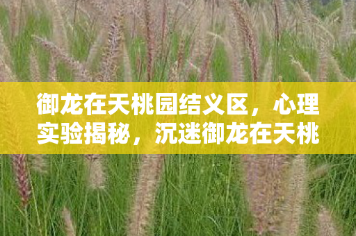 御龙在天桃园结义区，心理实验揭秘，沉迷御龙在天桃园结义的细思极恐自我麻醉