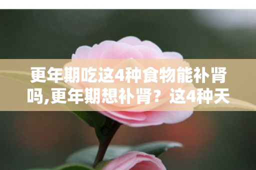 更年期吃这4种食物能补肾吗,更年期想补肾?这4种天然食物别错过 更年期吃这4种食物能补肾吗,更年期想补肾?这4种天然食物别错过