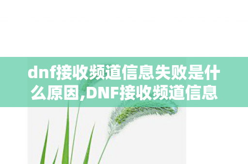 dnf接收频道信息失败是什么原因,DNF接收频道信息失败？这些实用排查技巧帮你快速恢复游戏