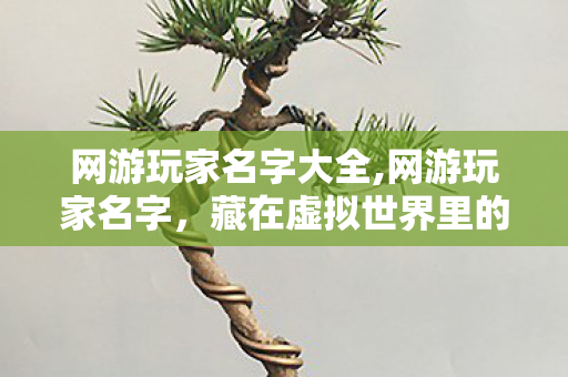 网游玩家名字大全,网游玩家名字,藏在虚拟世界里的私人小宇宙 网游玩家名字大全,网游玩家名字,藏在虚拟世界里的私人小宇宙