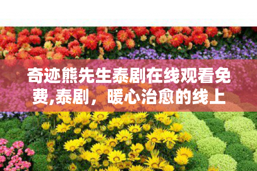 奇迹熊先生泰剧在线观看免费,泰剧，暖心治愈的线上观剧指南