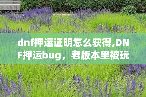 dnf押运证明怎么获得,DNF押运bug,老版本里被玩家津津乐道的趣味小漏洞 dnf押运证明怎么获得,DNF押运bug,老版本里被玩家津津乐道的趣味小漏洞