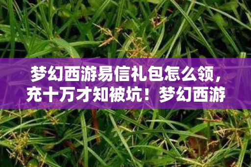 梦幻西游易信礼包怎么领,充十万才知被坑!梦幻西游易信礼包隐情曝光,吓一跳的真相在此! 梦幻西游易信礼包怎么领,充十万才知被坑!梦幻西游易信礼包隐情曝光,吓一跳的真相在此!