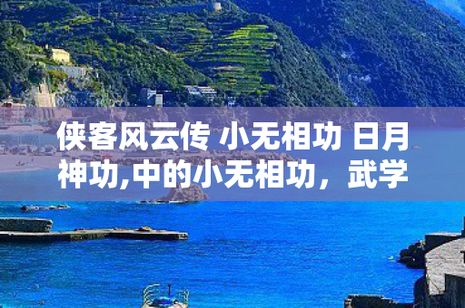 侠客风云传 小无相功 日月神功,中的小无相功,武学哲思与江湖叙事的碰撞 侠客风云传 小无相功 日月神功,中的小无相功,武学哲思与江湖叙事的碰撞